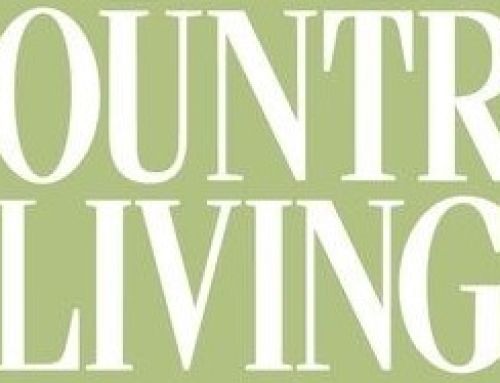 Jo Laing featured in Country Living Xmas Guide!